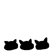036