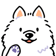 Samoyed dog's face
