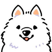 Samoyed dog's face
