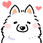 Samoyed dog's face รูปที่ 5