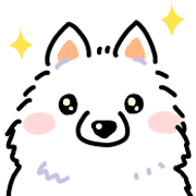 Samoyed dog's face รูปที่ 7