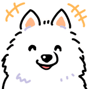 Samoyed dog's face รูปที่ 8