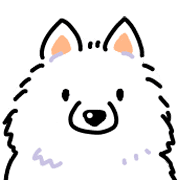 Samoyed dog's face รูปที่ 10
