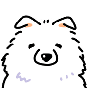 Samoyed dog's face รูปที่ 11