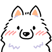 Samoyed dog's face รูปที่ 12