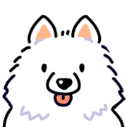 Samoyed dog's face รูปที่ 13