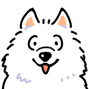 Samoyed dog's face รูปที่ 17