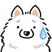 Samoyed dog's face รูปที่ 24