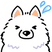 Samoyed dog's face รูปที่ 25