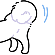 Samoyed dog's face รูปที่ 29