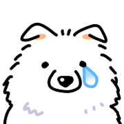 Samoyed dog's face รูปที่ 31