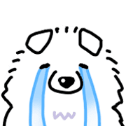 Samoyed dog's face รูปที่ 32
