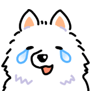 Samoyed dog's face รูปที่ 33