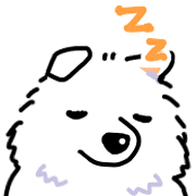 Samoyed dog's face รูปที่ 37