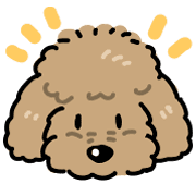 Samoyed dog's face รูปที่ 39
