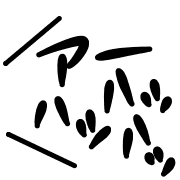 004