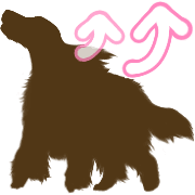 038