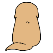 021