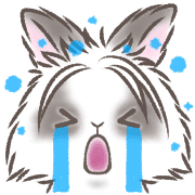 004