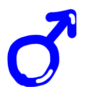 036