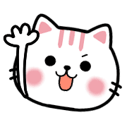 004