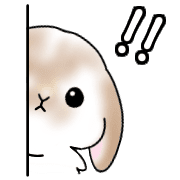 024