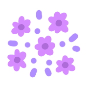 031