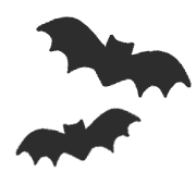 010