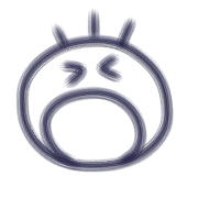 003