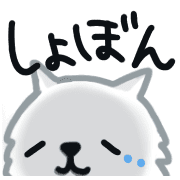 031