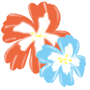 034