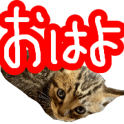 004