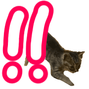 025