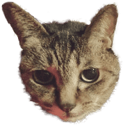 035