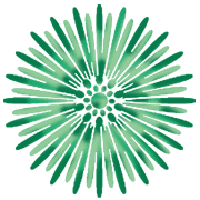 003