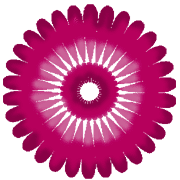 007