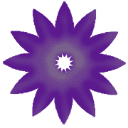 017