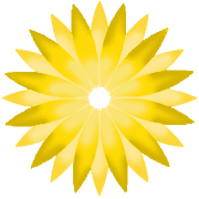 019