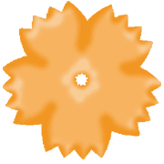 021