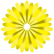 031