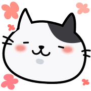 003