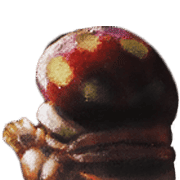 038