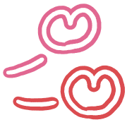 010
