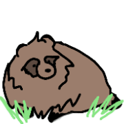 031