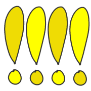 007