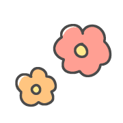005
