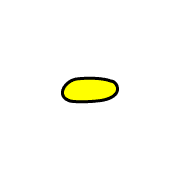 251