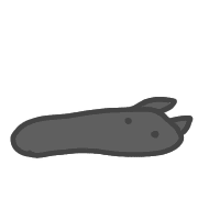 010