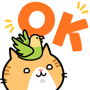 011