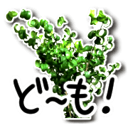 อิโมจิไลน์ Green plants and message